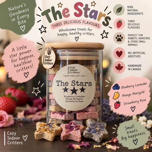 The Stars - 45 piece Natural rabbit / hamster treats - strawberry rose / blueberry lavender / mango marigold in a glass bamboo jar