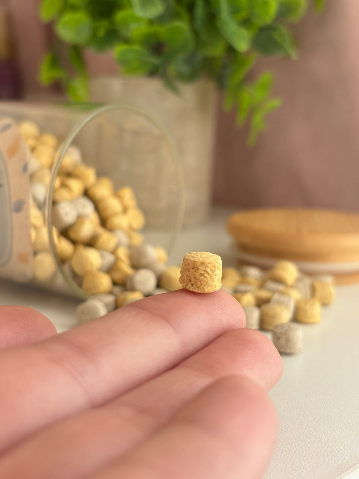 Tiny Nibs - Training Treats
