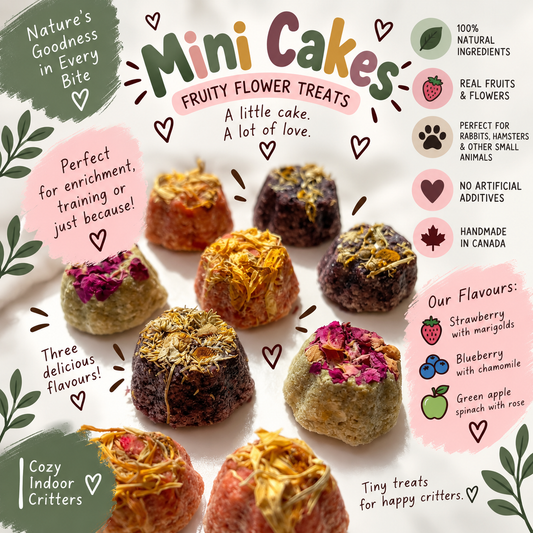 Fruity Flower mini cakes! 12 pack rabbit/hamster/mice/gerbil treats