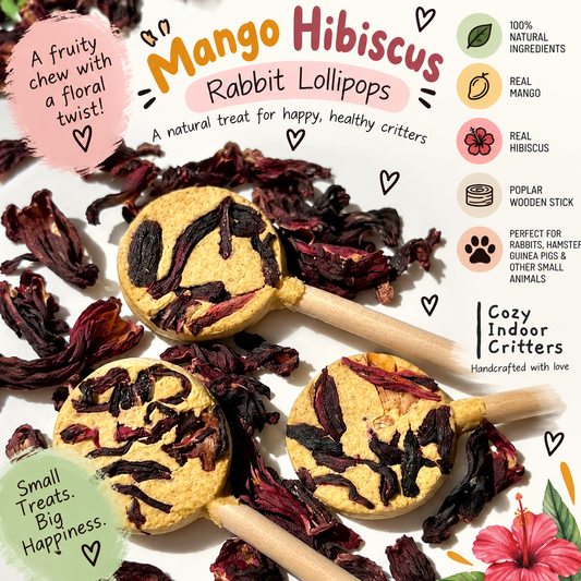 Mango Hibiscus Rabbit lollipops! 3pk