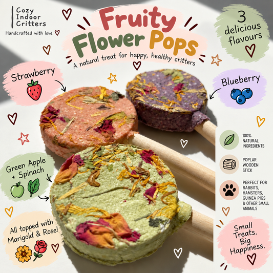 Fruity Flower Pops - rabbit / hamster / rat / mouse / chinchilla / gerbil