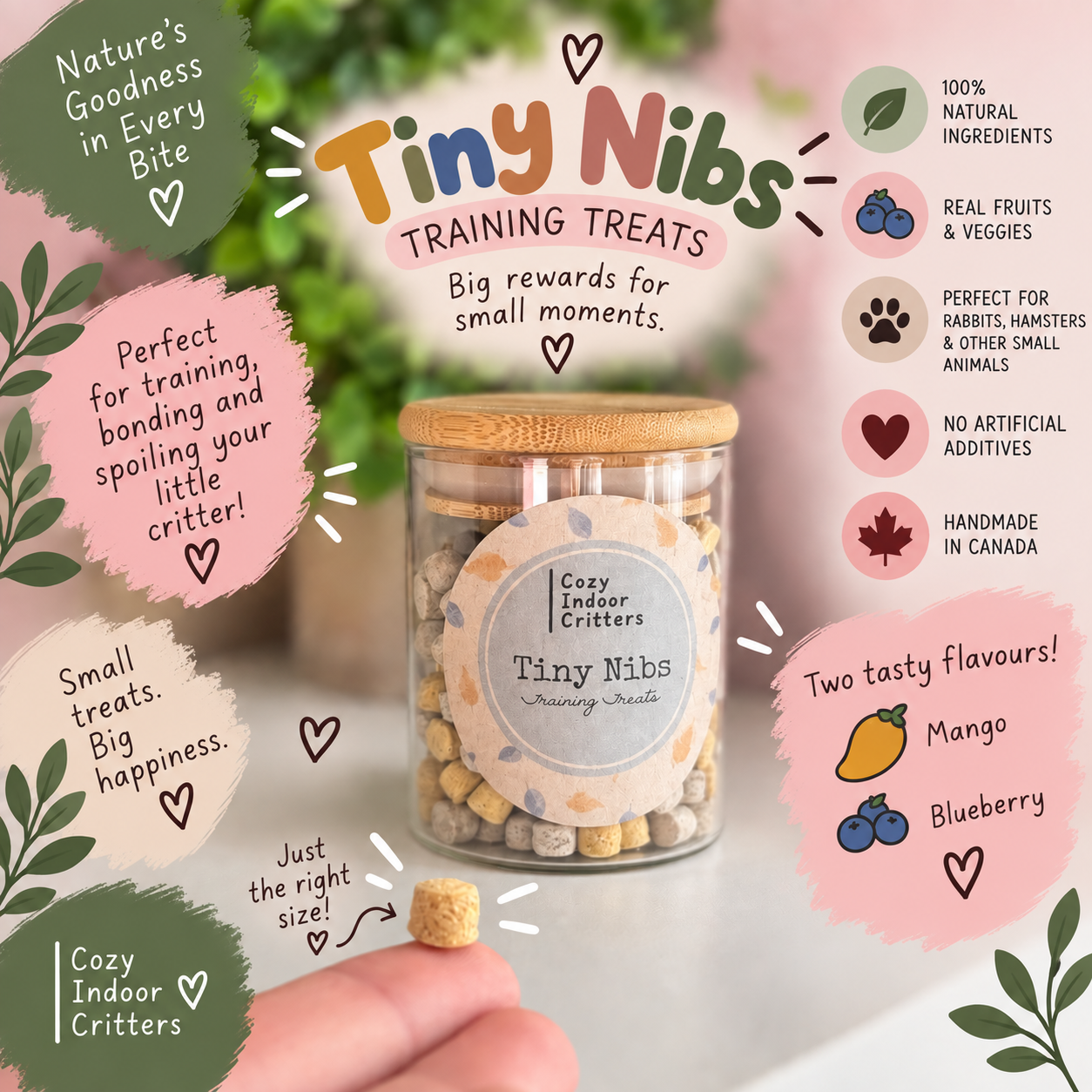 Tiny Nibs - Training Treats